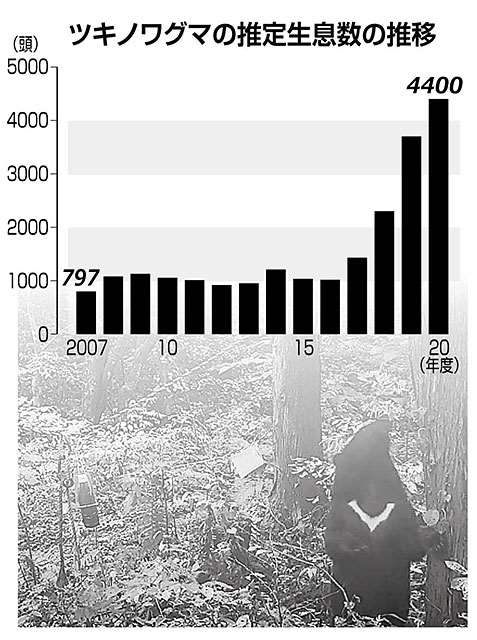 ニュースの つぼ クマ推定生息数調査 秋田魁新報電子版