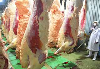 新型コロナウイルスの影響で販売が低迷している秋田牛＝県食肉流通公社